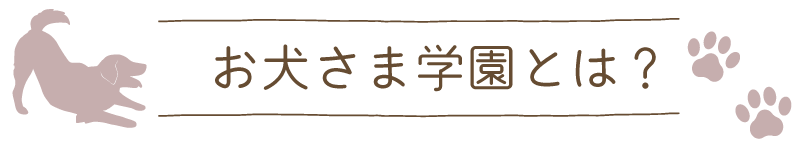 お犬さま学園とは？